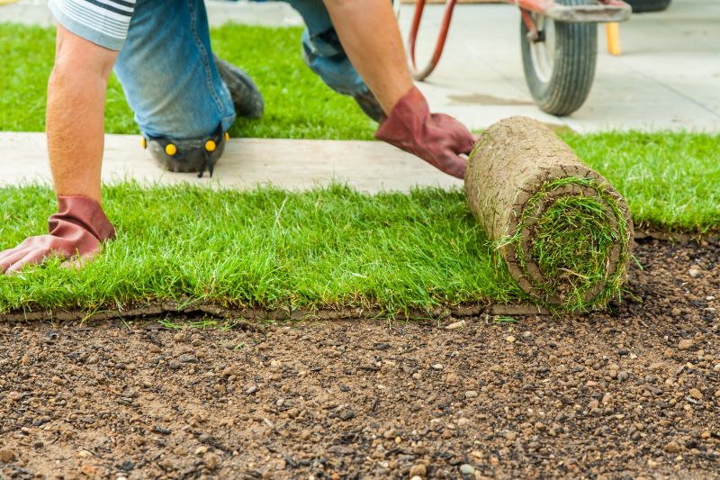 Cost of Sod Delivery — Cost of Sod Delivery