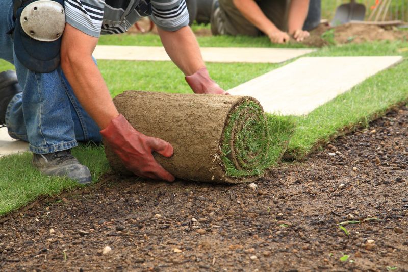 Autumn Sod Installation