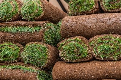 Get Fresh and Healthy Sod Delivered!