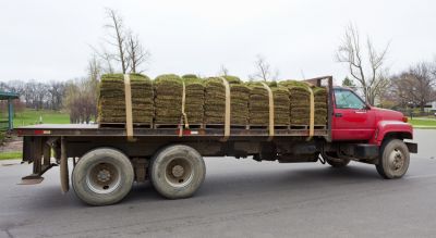 Reduce Time and Effort with Sod Delivery Directly to Your Home or Residence!